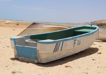 white and green canoe on brown sand during daytime