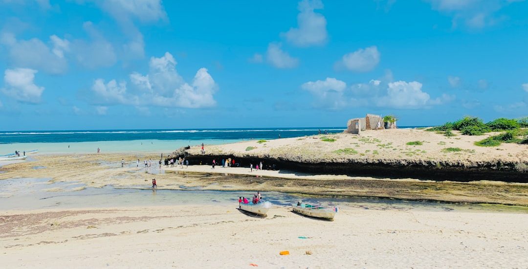 a beach with boats and people