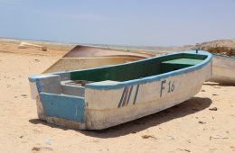 white and green canoe on brown sand during daytime