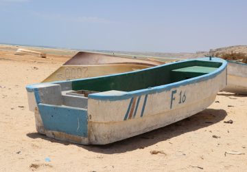white and green canoe on brown sand during daytime